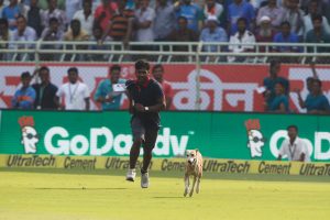 vizag-dog
